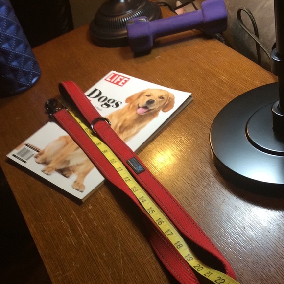 Dog leash Padded handle Max and Nemo Red - Picture 6 of 7